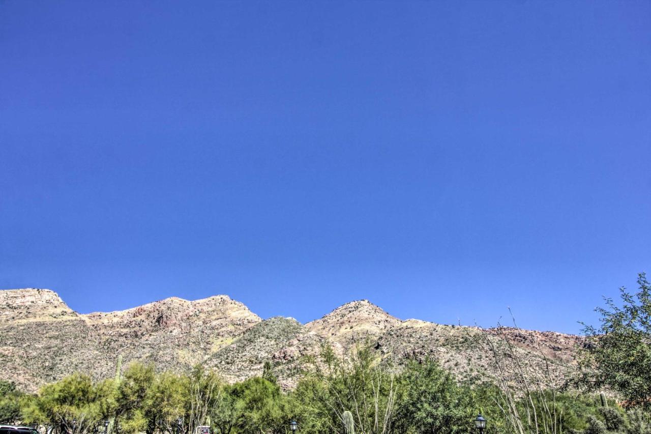 Catalina Foothills, Tucson Valley Hub With View Exteriér fotografie