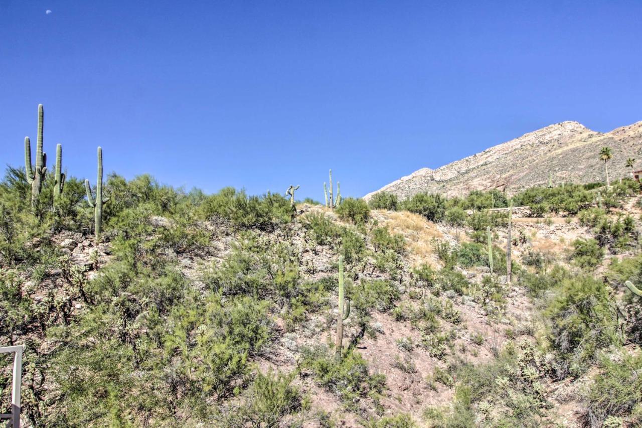 Catalina Foothills, Tucson Valley Hub With View Exteriér fotografie