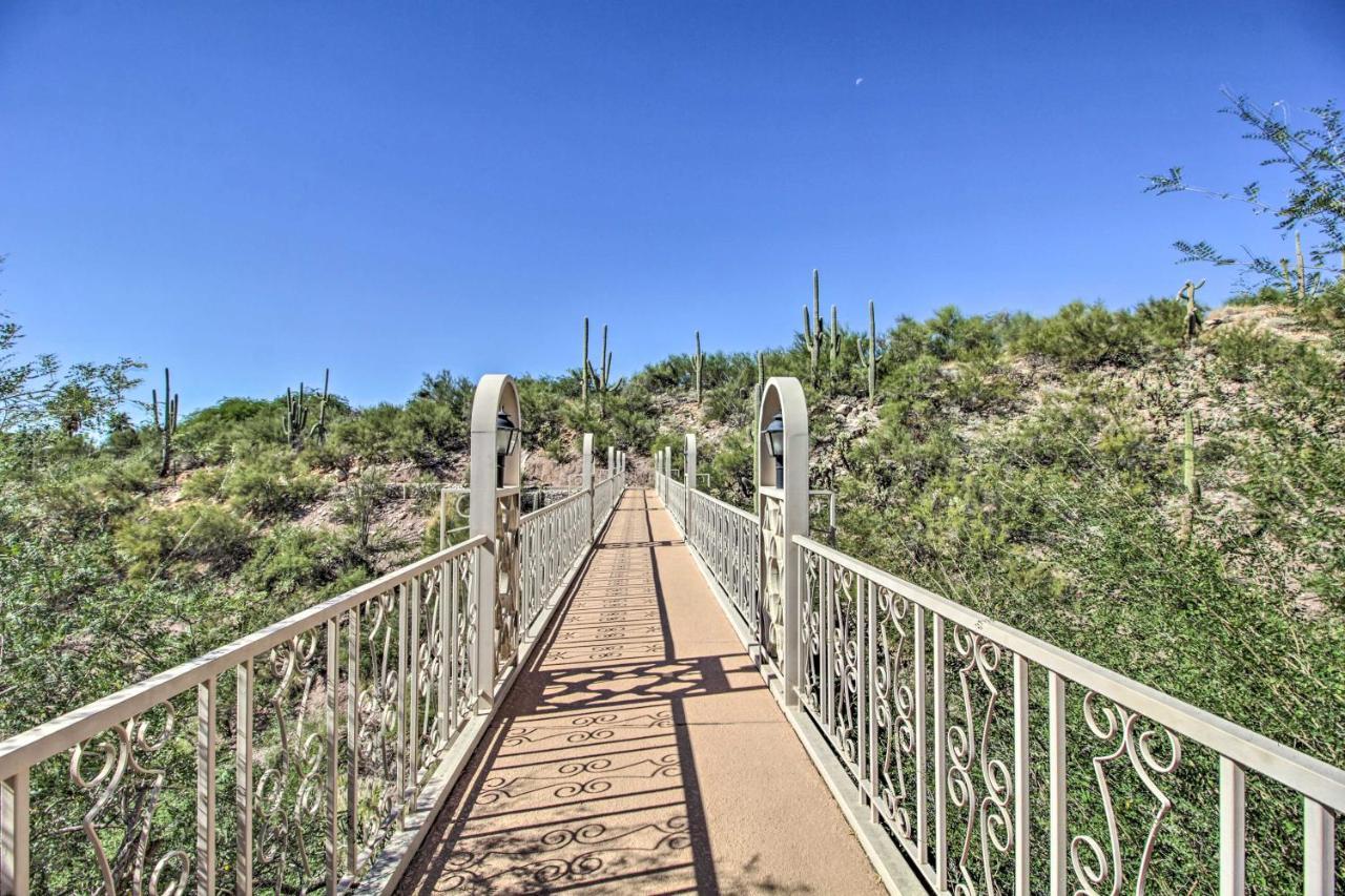 Catalina Foothills, Tucson Valley Hub With View Exteriér fotografie